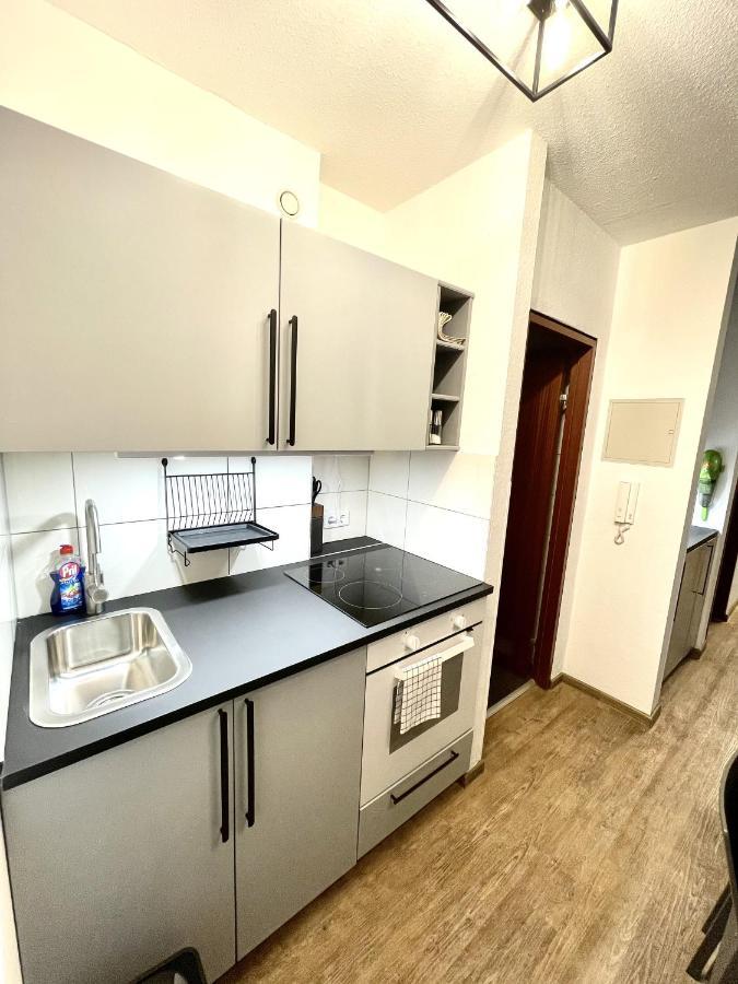 Boutique Apartment Am Bahnhof Фрайбург Екстериор снимка